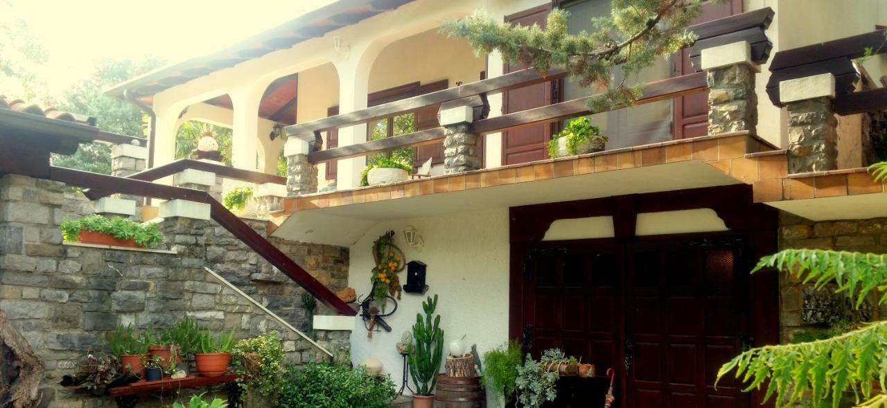 Apartment Slavi Vipava Exteriér fotografie